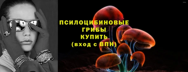 гидропоника Нягань