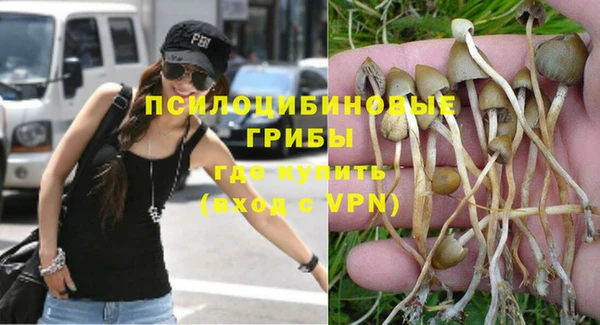 гидропоника Нягань