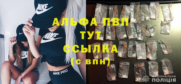 крисы Пенза