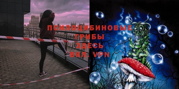 круглые Няндома