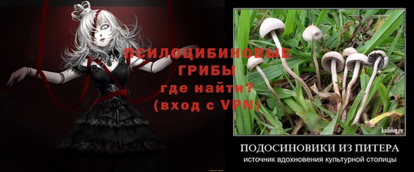 круглые Няндома